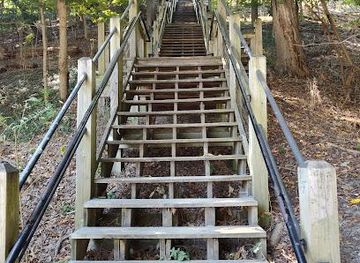 michigan/saugatuck/attraction/mount-baldhead-park