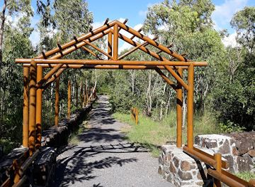 mauritius/flacq/attraction/roche-noire-lava-tubes