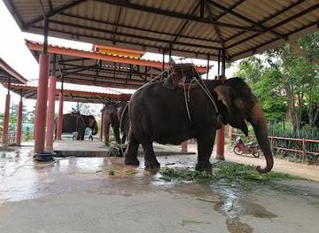 thailand/rayong/attraction/chang-thai-thappraya-safari