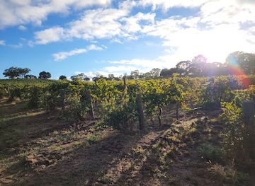 australia/barossa-valley/attraction/whistler-wines-barossa-valley