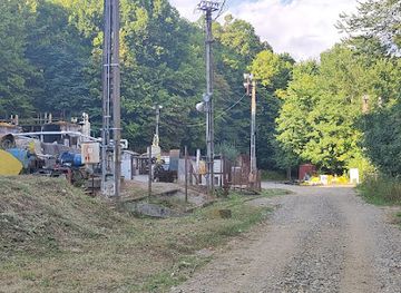 romania/dambovita/attraction/the-thousand-year-old-oak