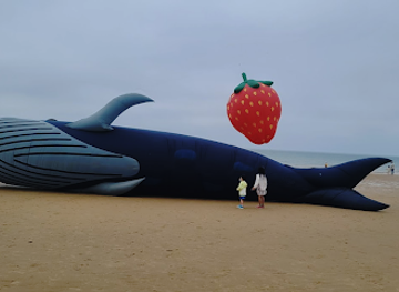 south-korea/south-chungcheong-province/attraction/mallipo-beach