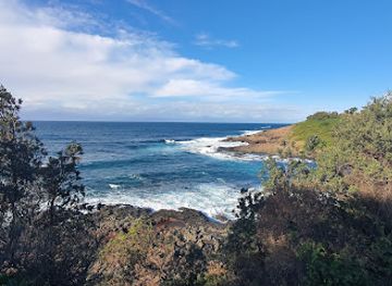 australia/illawarra/attraction/bass-point-reserve