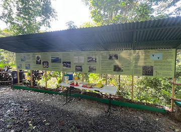 costa-rica/southern-zone/attraction/ara-manzanillo