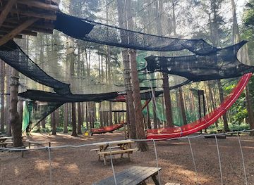 united-kingdom/east-midlands/attraction/go-ape-sherwood