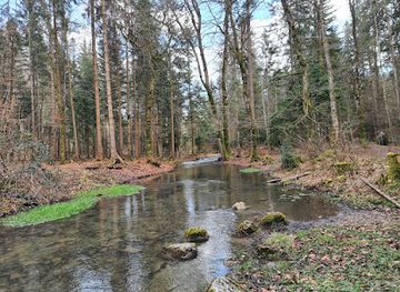 switzerland/thun/attraction/tropfsteinhohlen-glutschbachtal