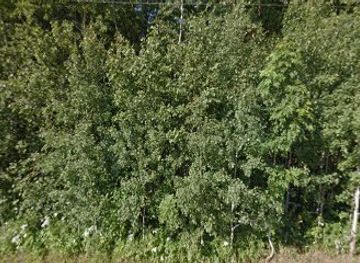 estonia/rapla/attraction/kabikula-laululava