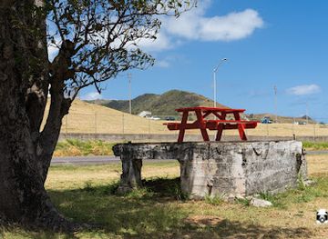 saint-kitts-and-nevis/basseterre/attraction/factory-highway-park
