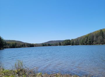 pennsylvania/allegheny-national-forest/attraction/chapman-state-park