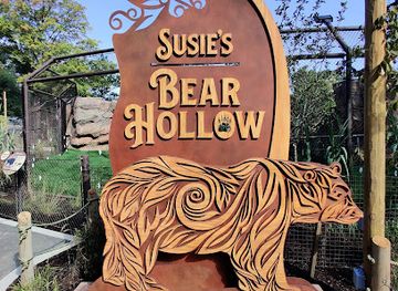 ohio/cleveland/attraction/susie-s-bear-hollow