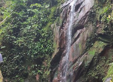 bolivia/madidi-national-park/attraction/cascada-sadiri