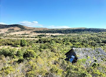 madagascar/diana/attraction/andrafiamena-andavakoera-protected-area