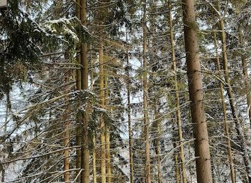 czechia/karlovy-vary/attraction/odpocivadlo-lazenske-lesy