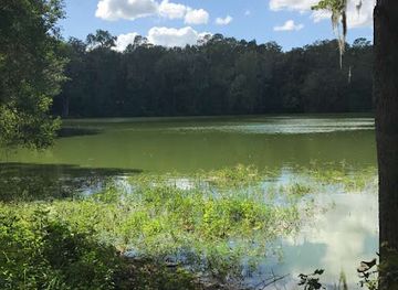 florida/gainesville/attraction/clear-lake-nature-park