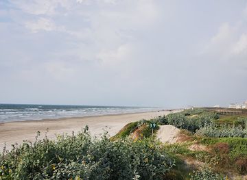 texas/port-aransas/attraction/tony-amos-city-beach