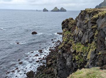 iceland/westman-islands/attraction/beautiful-puffin-and-shore-view