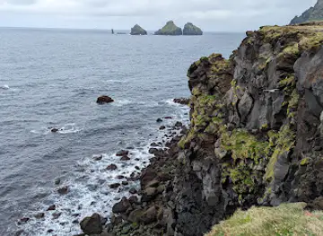 Beautiful Puffin and Shore View