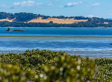 australia/wilson-s-promontory-national-park/attraction/small-drift