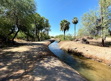 arizona/tempe/attraction/lopiano-bosque-habitat