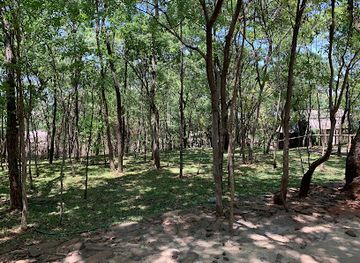 zimbabwe/mashonaland-west/attraction/mauya-haven