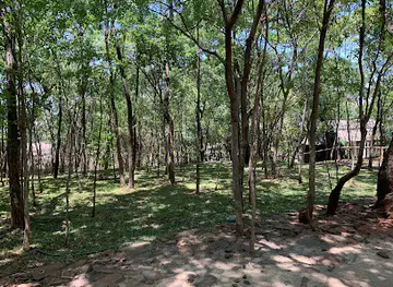 Mauya Haven