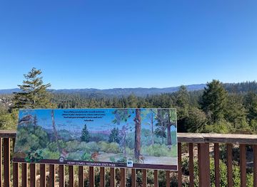 california/redwood-national-and-state-parks/attraction/henry-cowell-redwoods-state-park