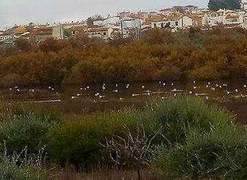 spain/andalusia/attraction/reserva-natural-de-la-laguna-de-fuente-de-piedra