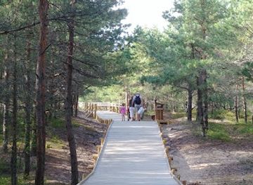 latvia/teici-nature-reserve/attraction/mangal-island-walking-trail