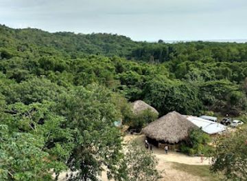 jamaica/savanna-la-mar/attraction/graham-tours-and-adventure