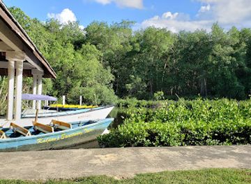 trinidad-and-tobago/chaguanas/attraction/nanan-s-caroni-bird-sanctuary-tours