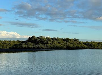 trinidad-and-tobago/caroni/attraction/scarlet-ibis-roost-observation-point