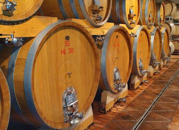 italy/langhe/attraction/cantine-ascheri-giacomo