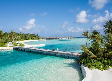 maldives/dhaalu-atoll/attraction/niyama-private-islands-maldives