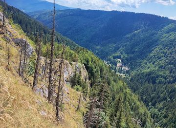 romania/salaj/attraction/rock-s-valley-ravine