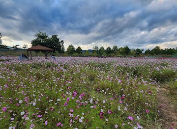 south-korea/yeongdong-region/attraction/nakdong-river-sports-park