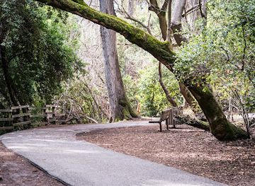 california/redwood-city/attraction/twin-pines-park