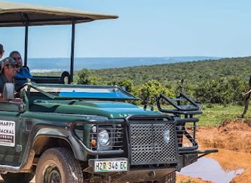 south-africa/addo-elephant-national-park/attraction/addo-alive-game-drives
