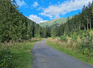 Medvedia štôlňa