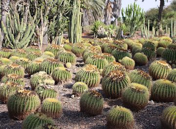 israel/central-district/attraction/hakaktusim-garden