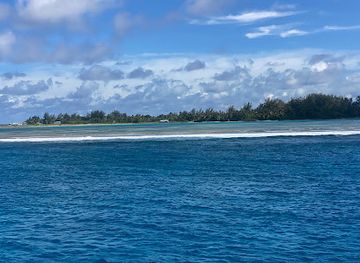 maldives/gnaviyani-atoll/attraction/dolphin-point