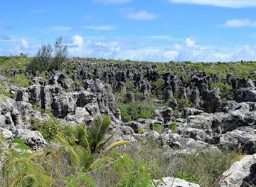 nauru/meneng-district/attraction/aredeto-park