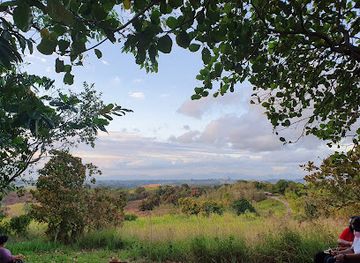 trinidad-and-tobago/couva-tabaquite-talparo/attraction/ajoupa-gardens