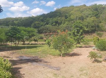 bolivia/amboro-national-park/attraction/quinta-el-parrandero-nino