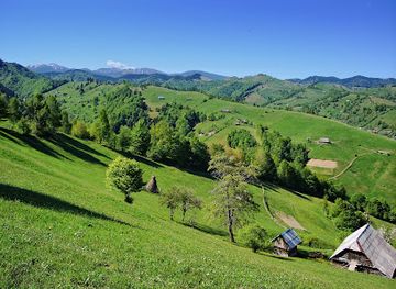 romania/bran-moieciu/attraction/manastirea-bran