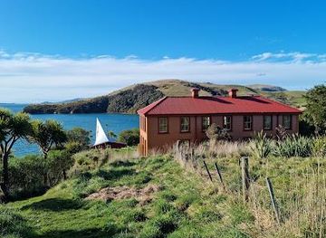 new-zealand/dunedin/attraction/quarantine-island-kamau-taurua