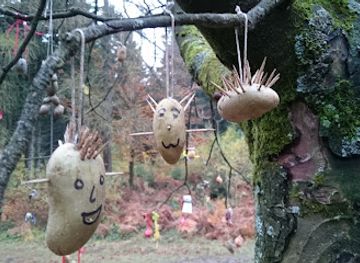 germany/eifel-national-park/attraction/kartoffelbaum-im-hurtgenwald