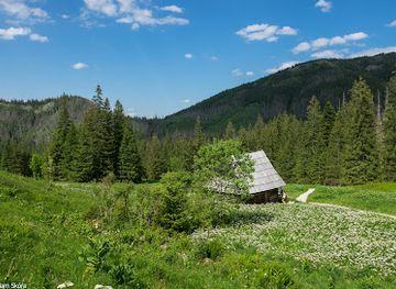 poland/tatra-mountains/attraction/dolina-olczyska