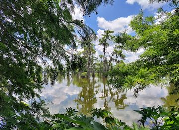 louisiana/bayou-teche/attraction/fishing-pier