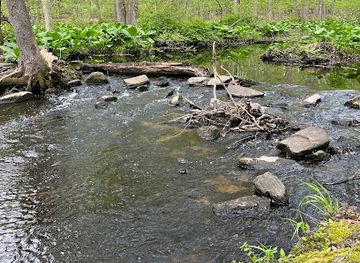 connecticut/norwalk-islands/attraction/earthplace