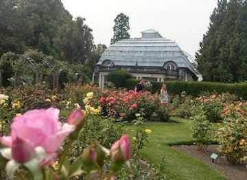 new-zealand/christchurch/attraction/rose-garden
